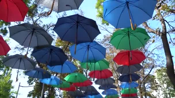 Bunte Regenschirme hängen in einem öffentlichen Park — Stockvideo