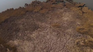 Yabani göllerin, sarı sazlıklar eşliğinde yetiştirilmiş hava aracı görüntüleri..