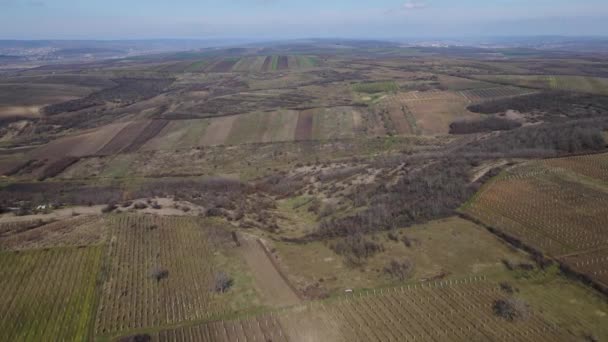 Vertikale Streifen von landwirtschaftlichen Parzellen unterschiedlicher Nutzpflanzen. — Stockvideo