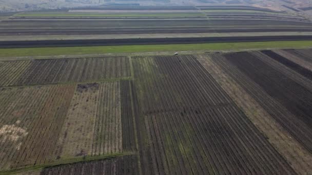 Listras verticais de parcelas agrícolas de diferentes culturas. Tiro da vista aérea do drone diretamente acima do campo. — Vídeo de Stock