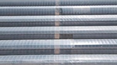 Sera bitkisinin havadan görünüşü.