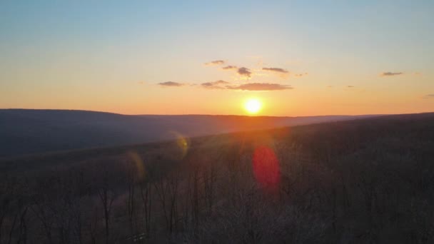 Luchtfoto van het prachtige herfstbos bij zonsondergang — Stockvideo