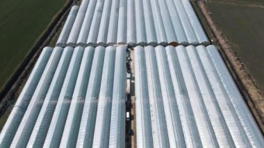 Sıraya dizilmiş seraların hava görüntüsü, 