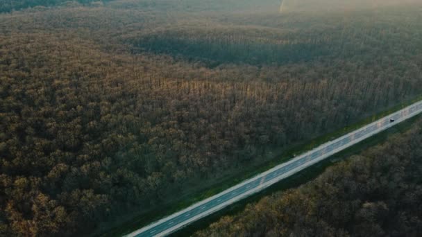 Widok z lotu ptaka na jezdnię w lesie bez liści. — Wideo stockowe