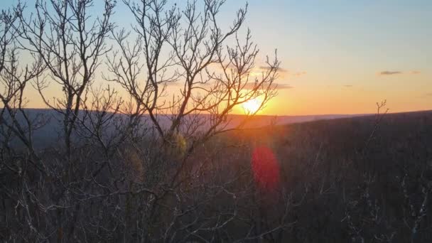 Luftaufnahme des wunderschönen Herbstwaldes bei orangefarbenem Sonnenuntergang — Stockvideo