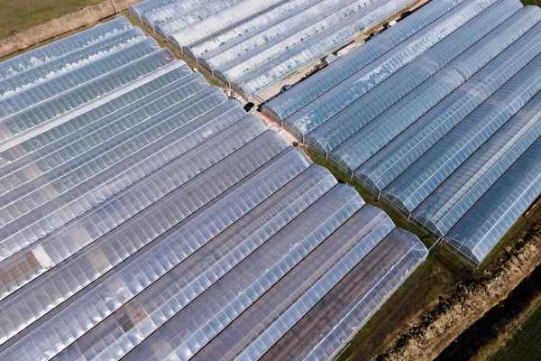 aerial view of a Greenhouses lined up in row