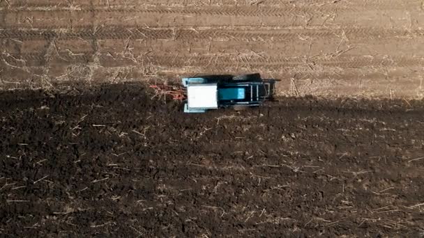 Landbouwtrekker in het veld. tractor ploegen, werkzaamheden in het veld — Stockvideo