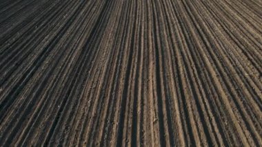 İnsansız hava araçları tarlaların üzerinde uçuyor..