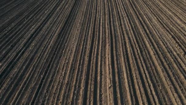 Zborul dronelor deasupra terenului agricol arat . — Videoclip de stoc