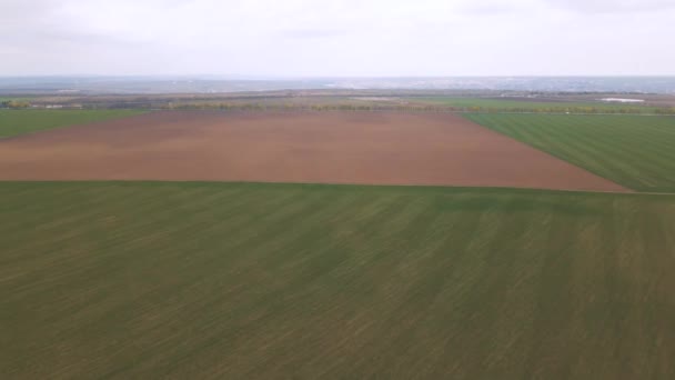 Imágenes de aviones teledirigidos 4K acercándose a campos agrícolas en el campo, — Vídeo de stock