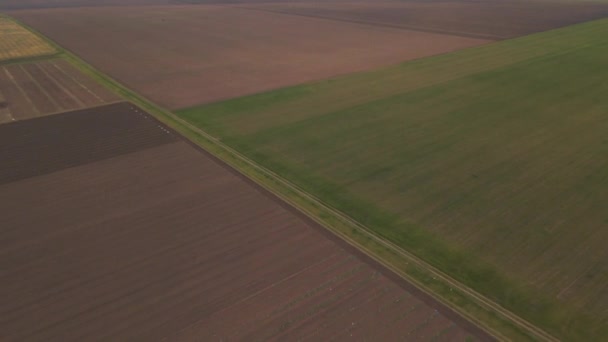 4K drönarbilder från luften närmar sig åkrar på landsbygden, — Stockvideo