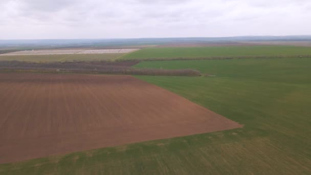 Nagranie z lotu ptaka 4K zbliżające się do pól uprawnych na wsi, — Wideo stockowe