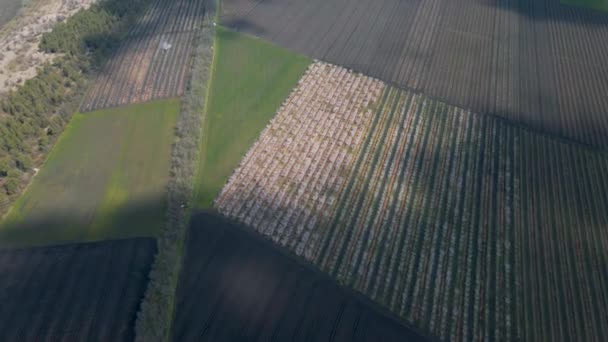 Vista aérea de tierras agrícolas de diferentes formas y colores, — Vídeo de stock