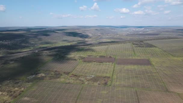 Luchtfoto van landbouwgebieden. Rijen grond voor het planten. — Stockvideo