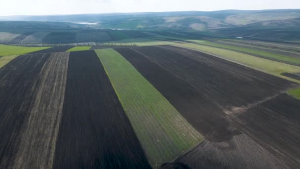 Widok poziomy, Widok z lotu ptaka, Rzędy gleby przed sadzeniem — Wideo stockowe