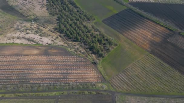 Aerial view of agricultural fields. Rows of soil before planting — Stock Video