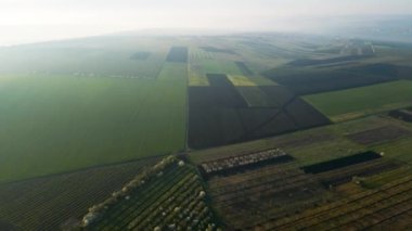Buğday tarlalarında tarımın üzerinde uçan hava aracı görüntüsü