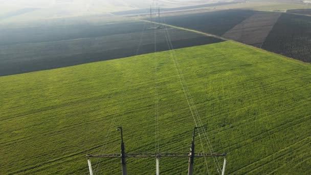 高電圧柱を持つ若い春の小麦と農地の空中ビュー — ストック動画