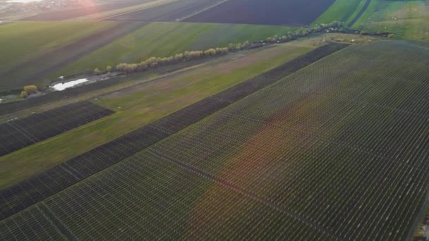 Uitzicht vanuit de lucht op het landschap van het platteland. Landelijk landschap. — Stockvideo