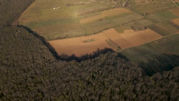 Vista aérea sobre bosque y campo, campos verdes — Vídeos de Stock