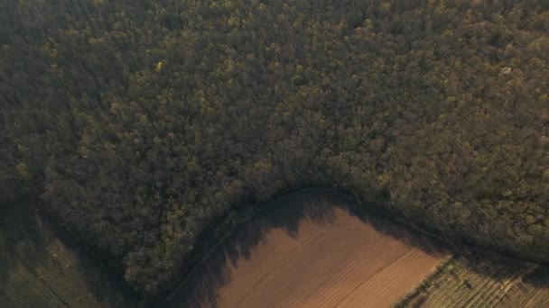 Widok z lotu ptaka na tereny leśne i wiejskie, zielone pola — Wideo stockowe