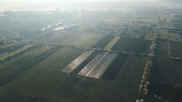 Luchtfoto van landbouwvelden in de buurt van de buitenwijk van de stad in de ochtend bij zonsopgang — Stockvideo