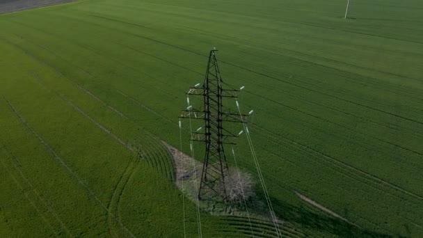 Vista aérea de postes eléctricos en campos de trigo verde durante el día. — Vídeo de stock