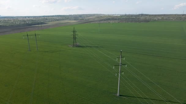 Vista aérea de líneas de alta tensión y torres de alta tensión en un plano y verde — Vídeos de Stock