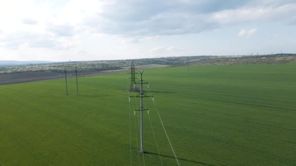 Vista aérea de líneas de alta tensión y torres de alta tensión en un plano y verde — Vídeos de Stock