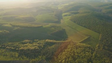 Gün doğumunda ormanın havadan görünüşü. İHA atışı ağaç ve yeşil arazi üzerinde uçuyor.