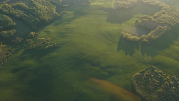 Vista aérea del paisaje rural con campos verdes y bosques al amanecer. — Vídeos de Stock