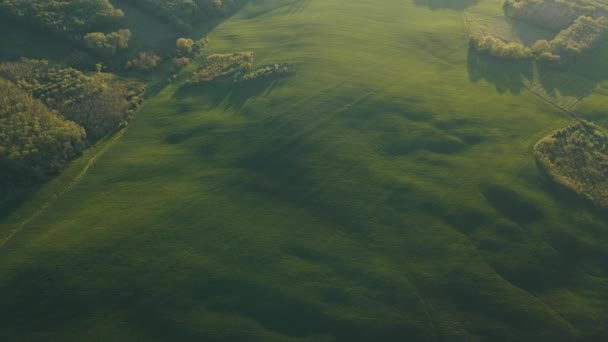 4K-Luftaufnahme des grünen Sommerwaldes mit grünen Feldern bei majestätischem Sonnenaufgang, — Stockvideo