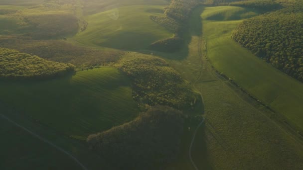 4K Vista aérea sobre tierras agrícolas y bosques verdes en la soleada noche de verano. — Vídeo de stock