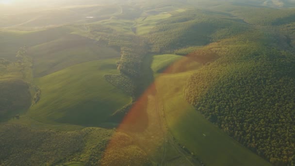 Aerial view of forest at sunrise. Drone shot flying over tree and green land — Stock Video