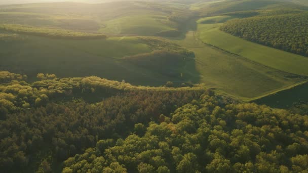 4K Luftaufnahme über landwirtschaftliche Flächen und grüne Wälder an sonnigen Sommerabenden. — Stockvideo