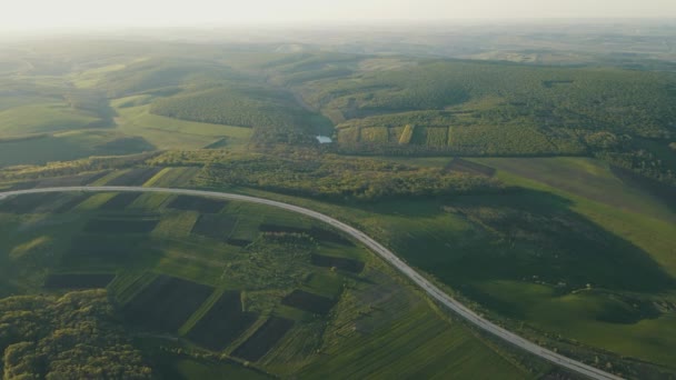 Aerial Drone View Repülés erdő és aszfalt út felett naplemente lágy fényben. — Stock videók