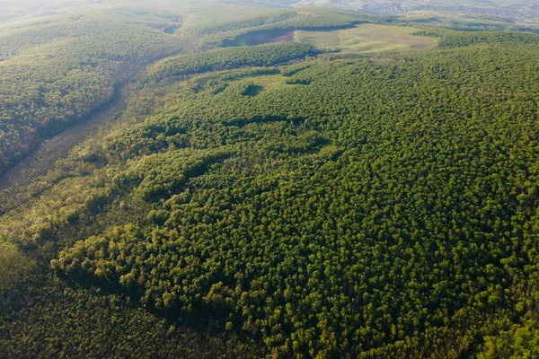 Estate nella foresta aerea vista dall'alto. Foresta mista, colori estivi campagna bosco. — Foto Stock