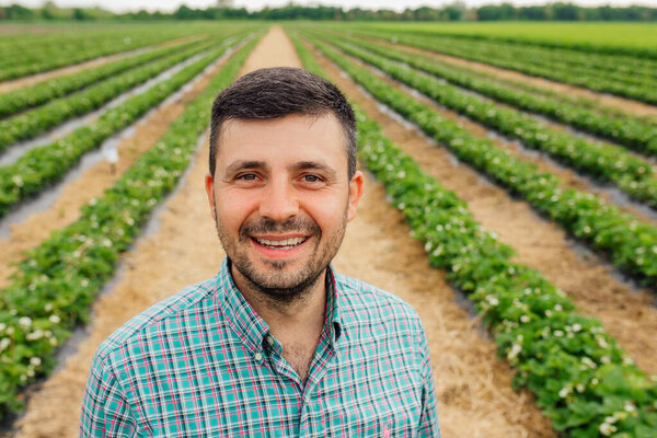 Portrait of young Caucasian handsome happy man farmer standing in strawberry field and smiling to camera