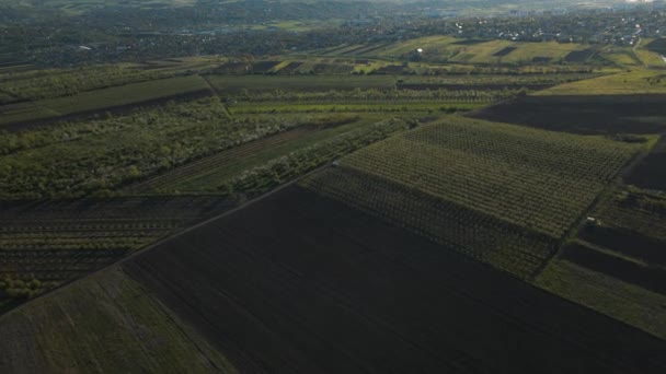 Bovenaanzicht vanuit de lucht van een akkerbouwtarwe op het platteland op een lentedag. landschappen. — Stockvideo