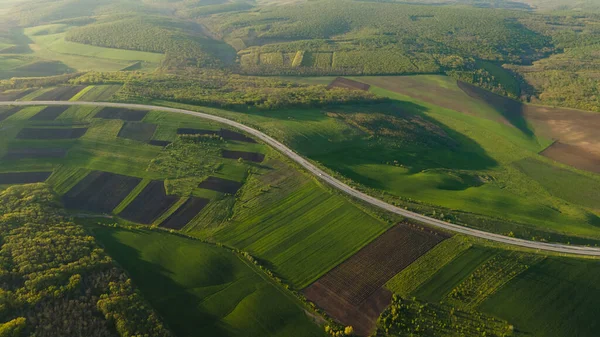 Aerial Drone View Flight over forest and asphalt road in sunset soft light