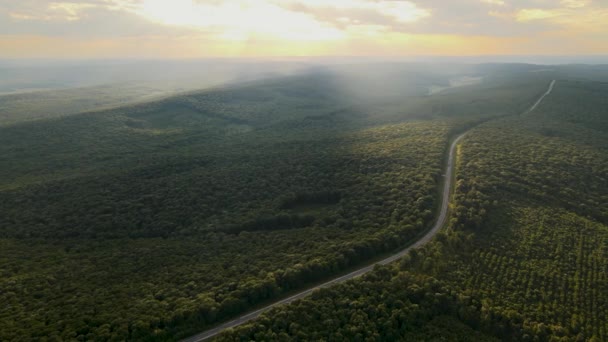 HDR 4K. Luftaufnahme über Waldland perfekte Asphaltstraße und Wiese bei sonnigem Sommer — Stockvideo