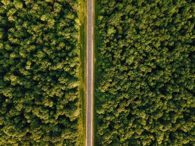 Orman arazisinin hava manzarası mükemmel asfalt yol ve güneşli yaz sabahında çayır..