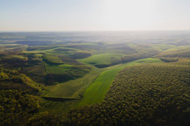 4K Havacılık, güneşli yaz akşamında tarım arazisi ve yeşil orman manzarası.