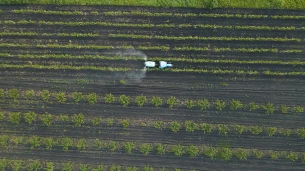 Vue aérienne de la pulvérisation de tracteurs agricoles sur le terrain. — Video