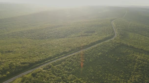 Volo drone su una strada asfaltata che attraversa il verde e magnifico bosco al tramonto — Video Stock