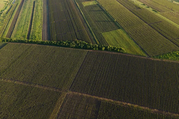 Landschaft aus der Luft Schöne Bauernhöfe und Weinberge Schöne. — Stockfoto
