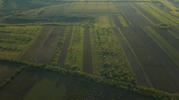 4K hava manzaralı. Yukarıdan yeni sürülmüş ve ekilmiş tarım arazisi., — Stok video