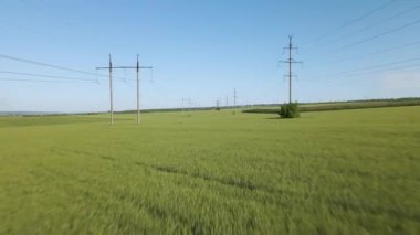Yüksek voltajlı elektrik kulelerinin havadan görünüşü ve buğday tarlasının üzerinden uçuşu.