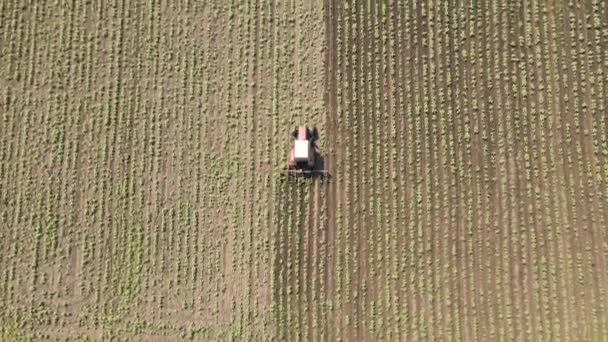 Widok z lotu ptaka na 4k ciągnika pracującego w terenie, przetwarzającego grunty rolne — Wideo stockowe