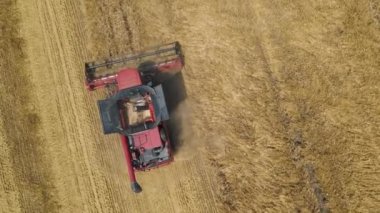 Buğday hasadının 4K hava görüntüsü. İnsansız hava aracı, buğdayla çalışan hasatçıları birleştiriyor.